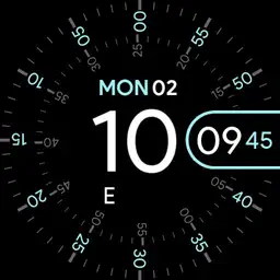 Pixel Watch 1.5