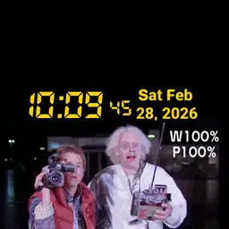 BTTF Watch part 1