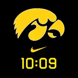 Hawkeye