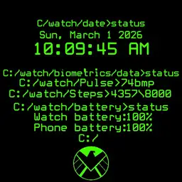 S.H.I.E.L.D Terminal