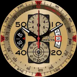 Invicta 17205