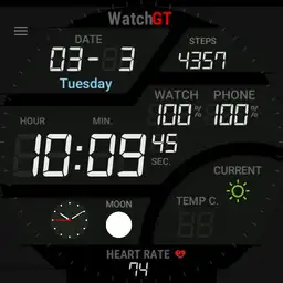 Yanger666 the watchGt