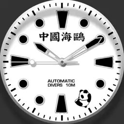 Seagull Diving Rolling Panda Watch.