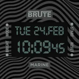 Brute MARINE All In One Diver Chronograph Interactive Mode Watch Colours