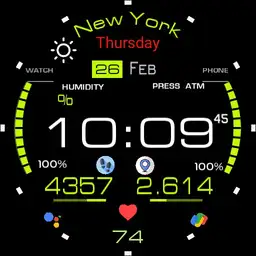 POMERANC Design - Garmin Style Copy