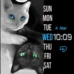 brit black and White cat Copy