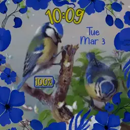 Birds & Butterflies