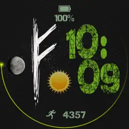 Fehu watch