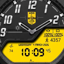 ARIS Watch Copy