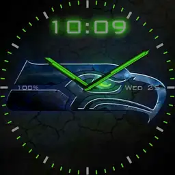 Seahawks 2 Copy