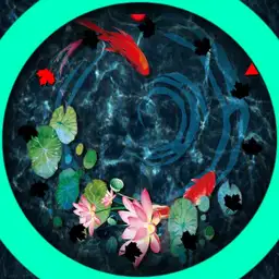 Pond