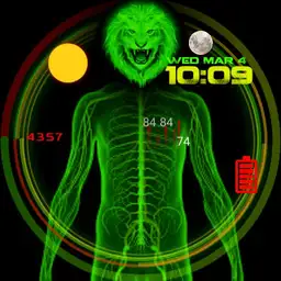 Lion Fit