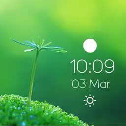 Simple Green