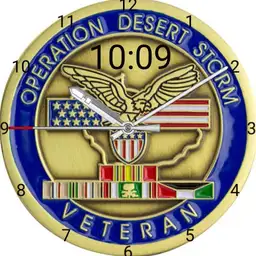 Desert Storm Coin