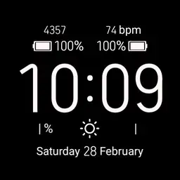 SimpleBasicWatch