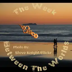 The Week Between The Worlds