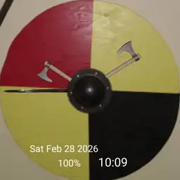 viking shield