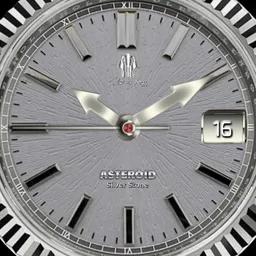 C.X. Asteroid Silver Stone