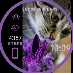 brit cat butterfly