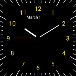 the gold plated watch