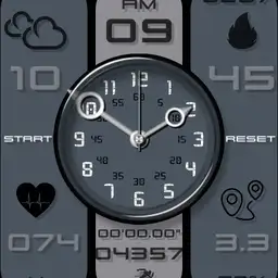 MI WATCH