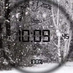 Animated Digital Snow
