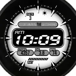 B&W Digital 2.0