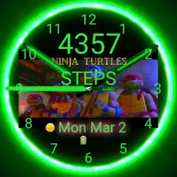 ninja turtles