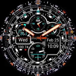 Pro-master Navi Dolphins style 2