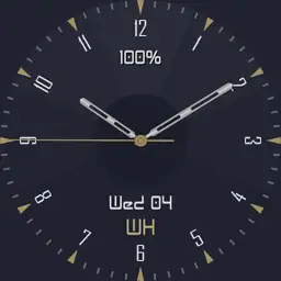 WH watch v4