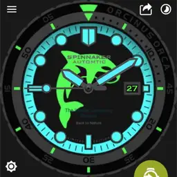 Spinnaker whale fluo by ML