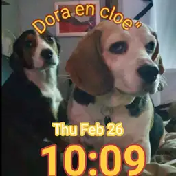 cloe" en dora