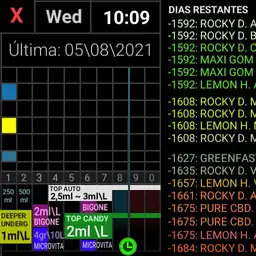CALENDARIO 2021