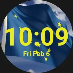 Alaska flag