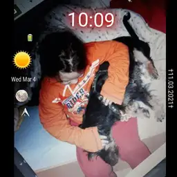 Rocky Mxvhlle