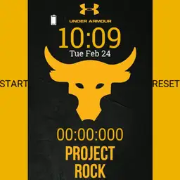 under armour the rock Copy