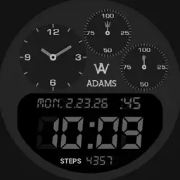 Big Digi & Dials Gray