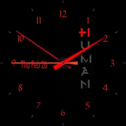 Human