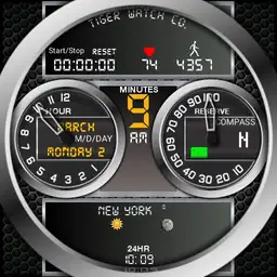 Tiger Watch Co. HUD1