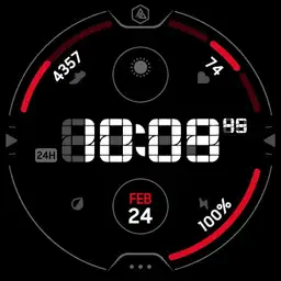 FD-X-PULSE-013