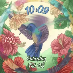 Hummingbird Paradise