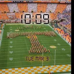 TN Vol Lovers