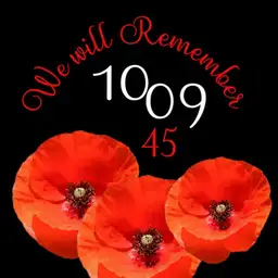 poppy 11/11
