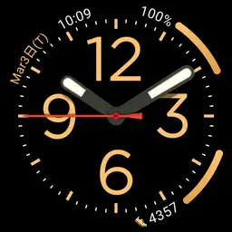 Pixel watch Copy