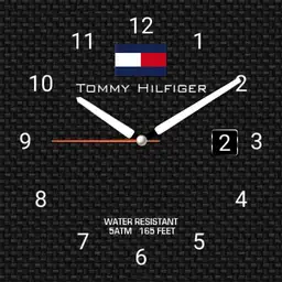 Tommy classic Copy