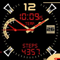 Gold Watch Copy