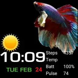 Apple dynamic fish - Xiaomi