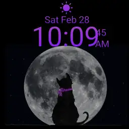 moon cat