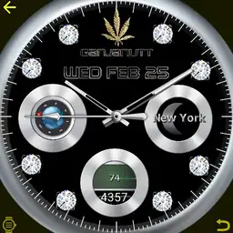Ganjanutt silver update