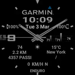 Savy Garmin2 simple gray, green, red Copy